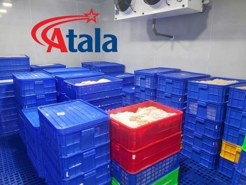 vỏ bọc xúc xích lạp xưởng atalavina